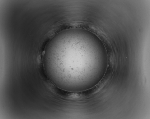 X0000093170611200710101213