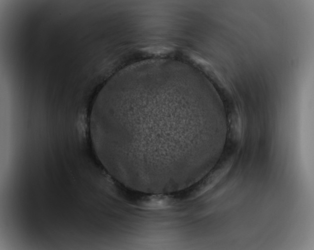 X0000093170612200710101213