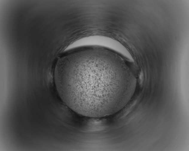 X0000093170613200710101213
