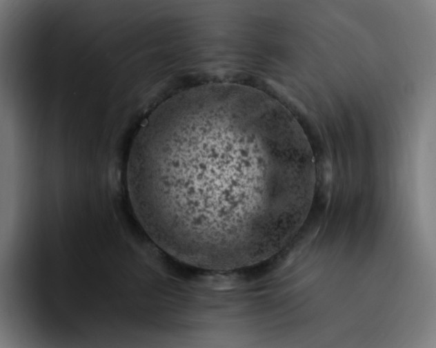 X0000093170615200710101213