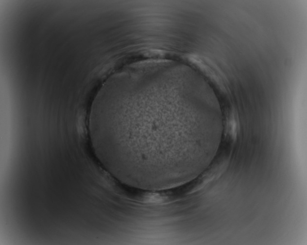 X0000093170616200710101213