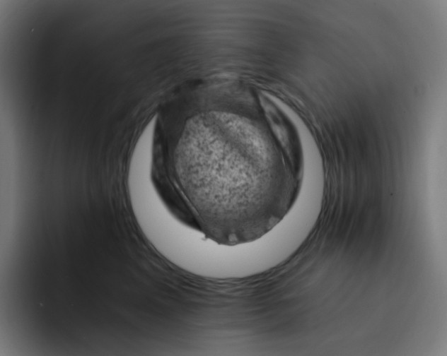 X0000093170617200710101213