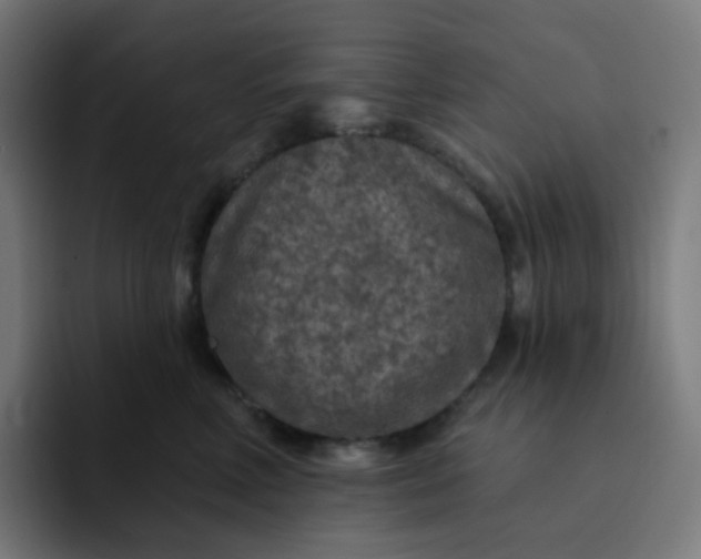 X0000093170618200710101213