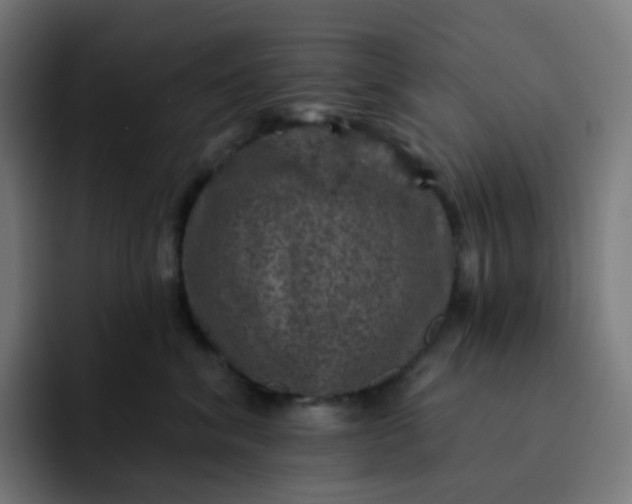 X0000093170620200710101213