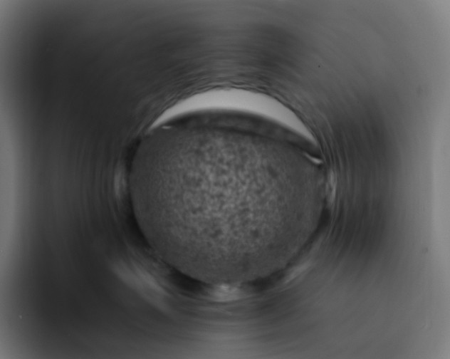 X0000093170623200710101213