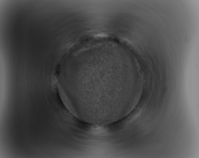 X0000093170624200710101213