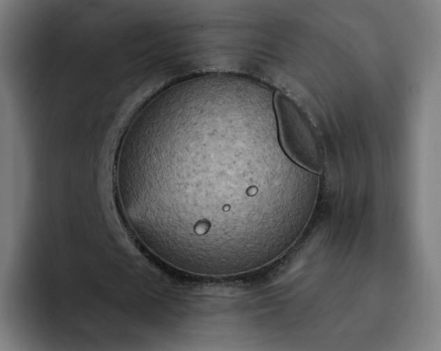 X0000093170625200710101213