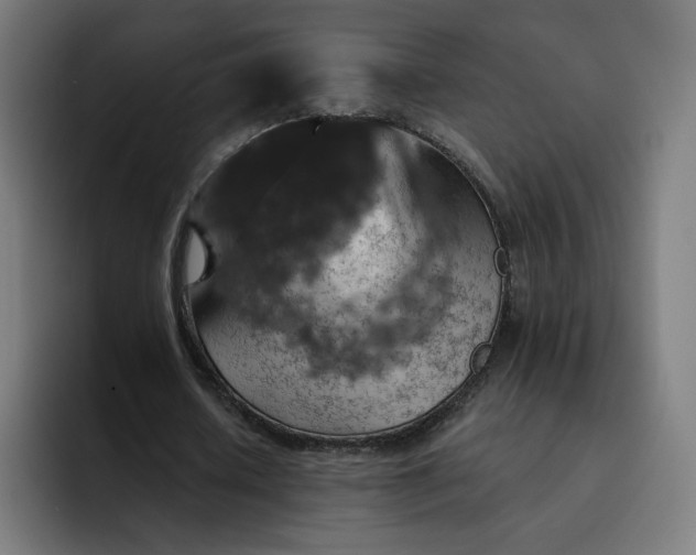 X0000093170626200710101213