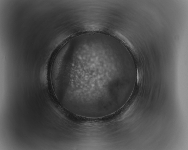X0000093170627200710101213