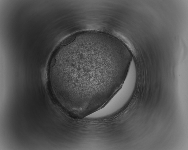 X0000093170628200710101213