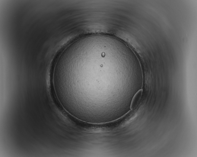 X0000093170629200710101213