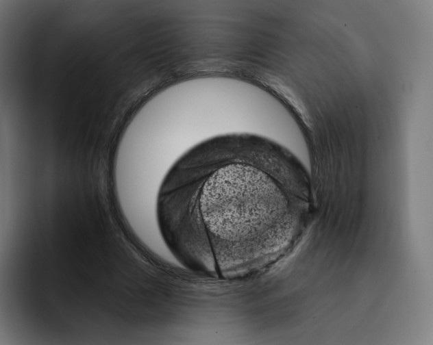 X0000093170633200710101213