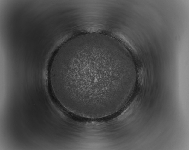 X0000093170634200710101213