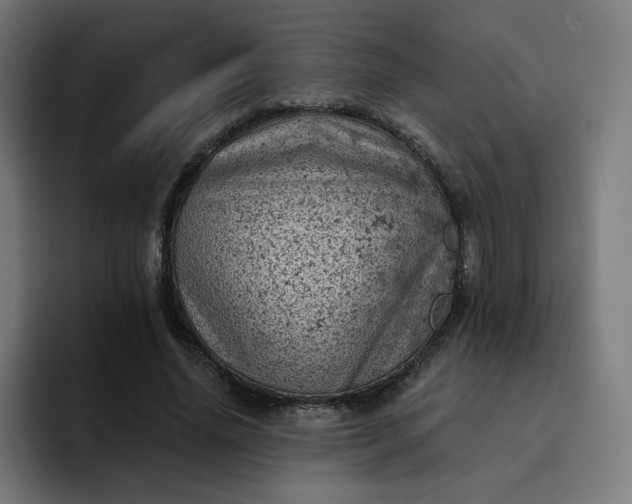 X0000093170636200710101213