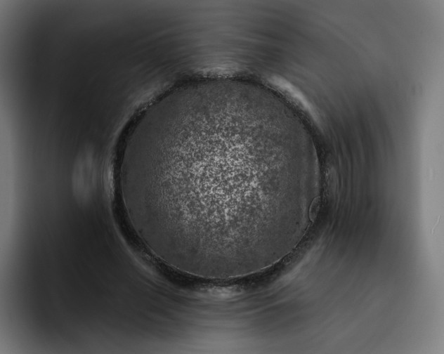 X0000093170638200710101213