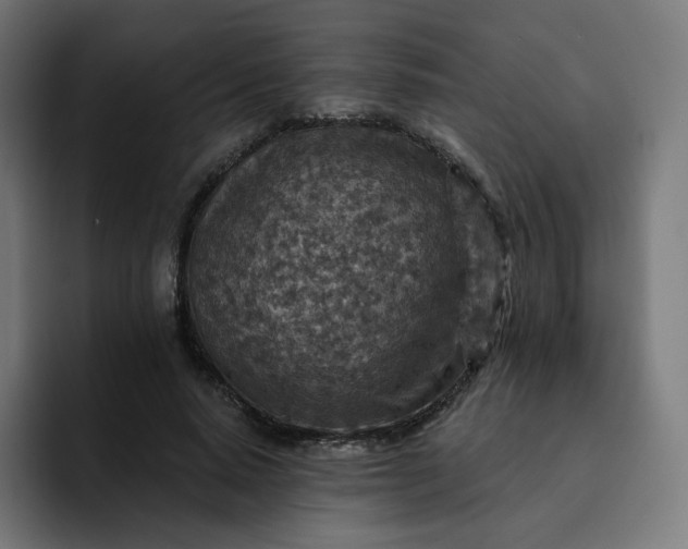 X0000093170640200710101213