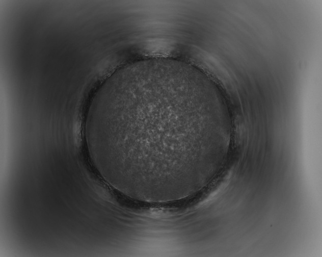 X0000093170641200710101213