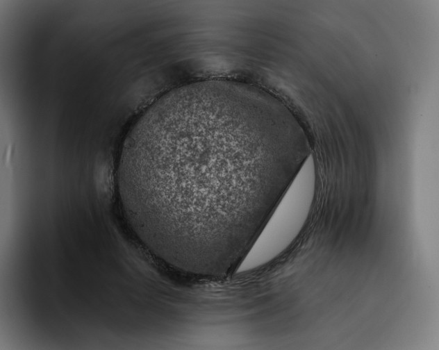 X0000093170642200710101213