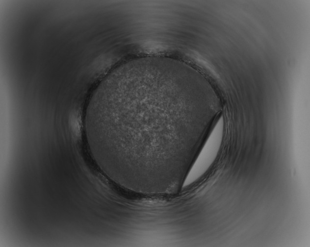 X0000093170644200710101213