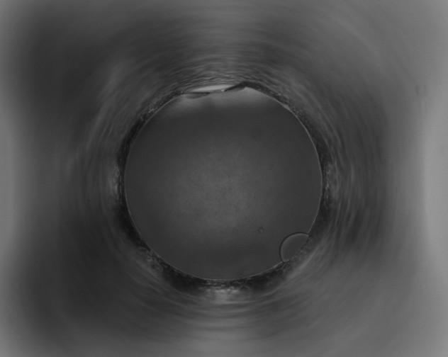 X0000093170650200710101213