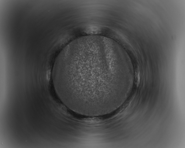 X0000093170652200710101213