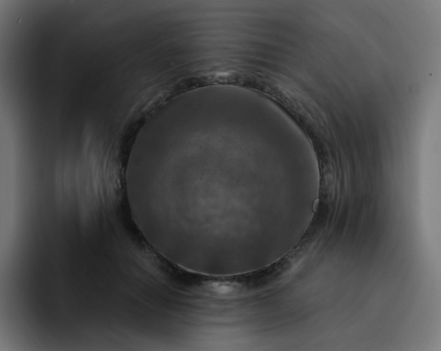 X0000093170654200710101213