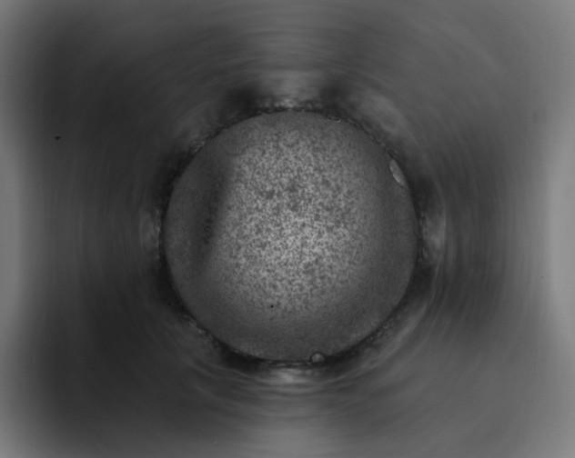 X0000093170657200710101213