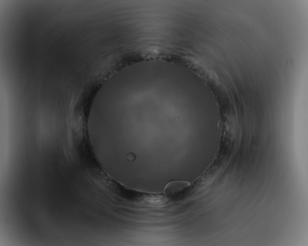X0000093170659200710101213