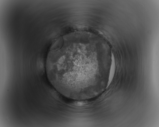 X0000093170662200710101213