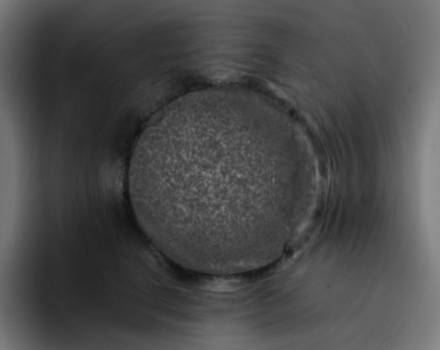 X0000093170664200710101213