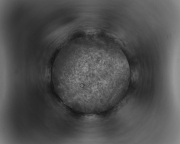 X0000093170666200710101213