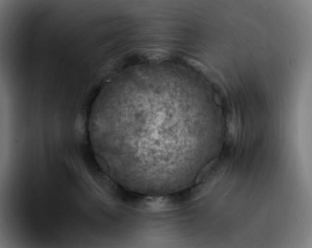 X0000093170667200710101213