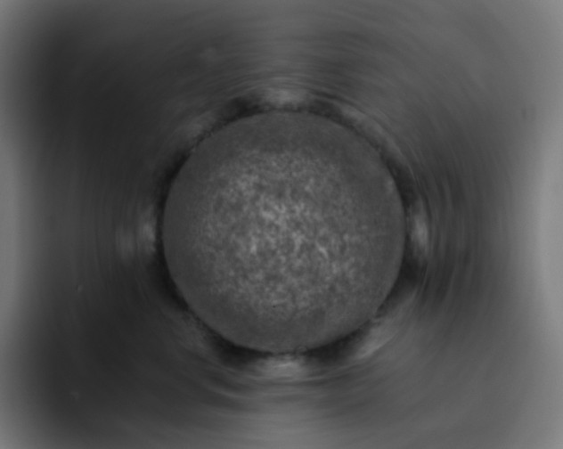 X0000093170668200710101213