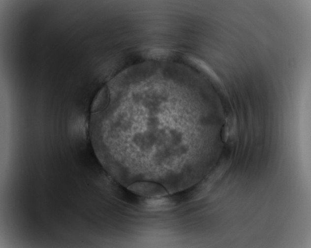 X0000093170669200710101213