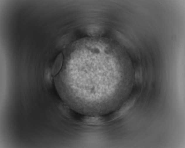 X0000093170671200710101213