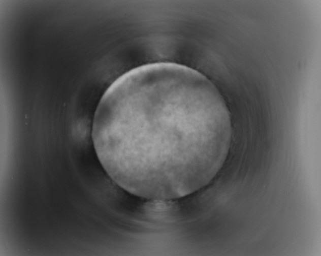 X0000093170672200710101213