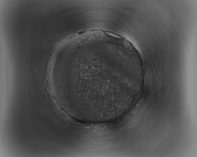 X0000093170673200710101213