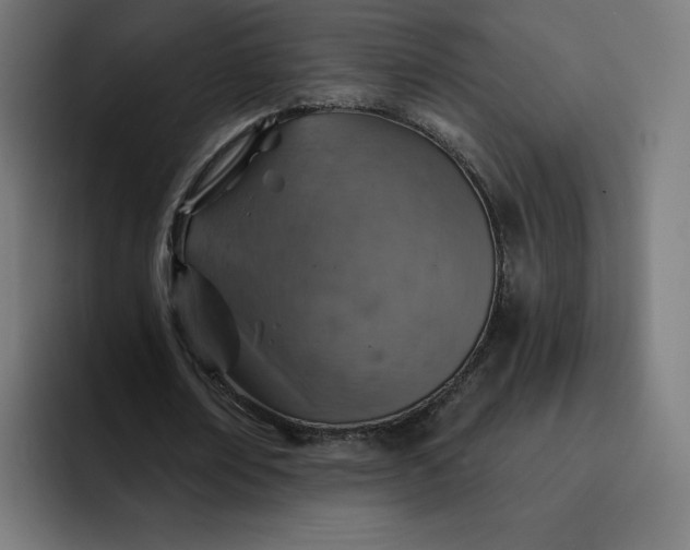 X0000093170674200710101213