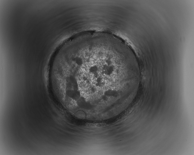 X0000093170679200710101213