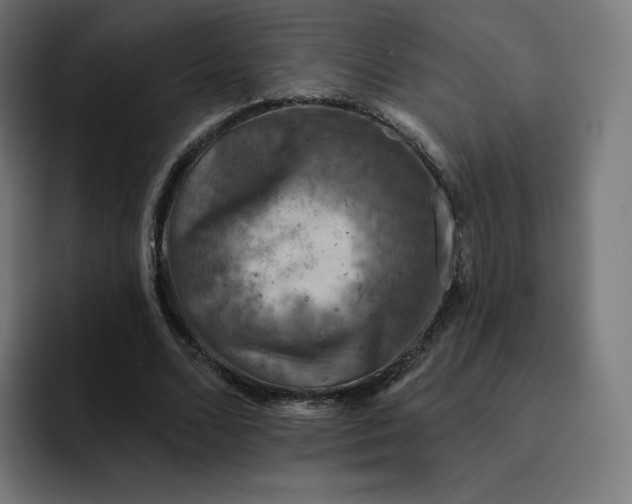 X0000093170680200710101213