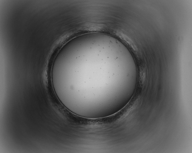 X0000093170682200710101213