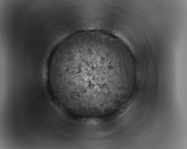 X0000093170683200710101213