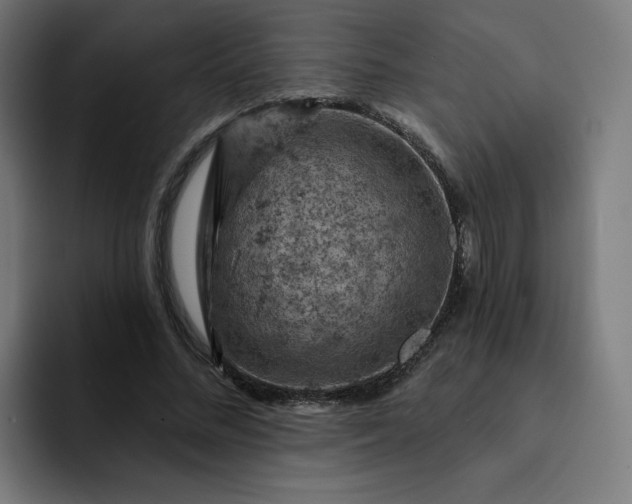 X0000093170684200710101213