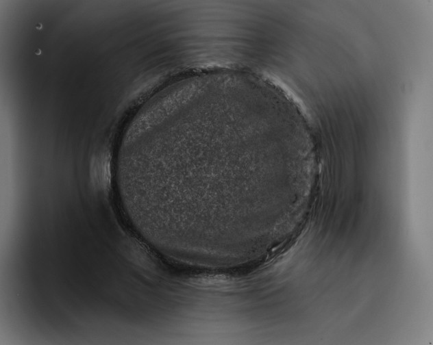 X0000093170685200710101213