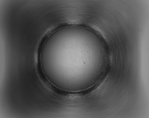 X0000093170686200710101213