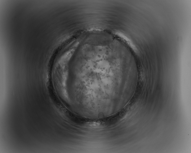 X0000093170687200710101212