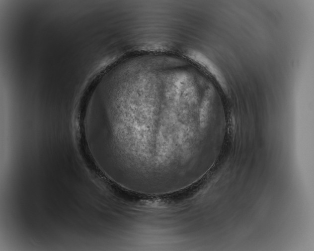 X0000093170688200710101212