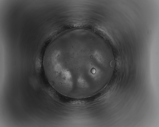 X0000093170691200710101212