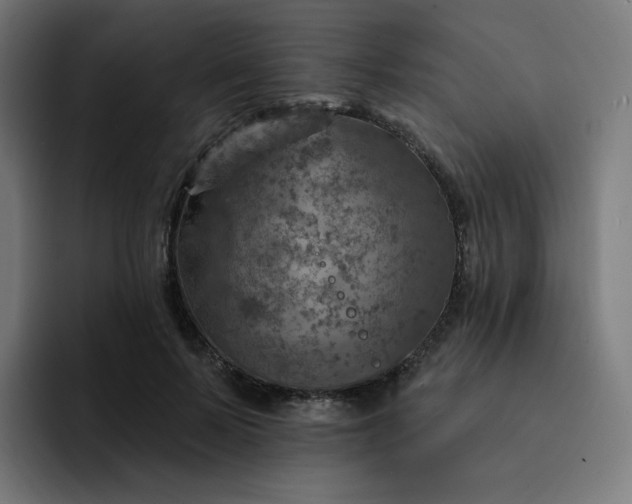 X0000093170695200710101212