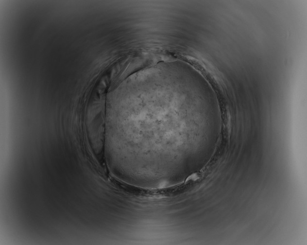 X0000093170696200710101212